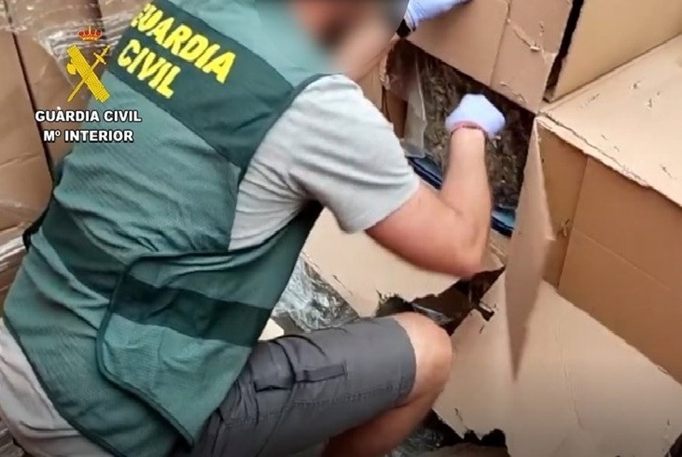 Archivo - Imagen de archivo de un operativo de la Guardia Civil de Málaga para la desarticulación de un entramado de cultivo y venta de marihuana.