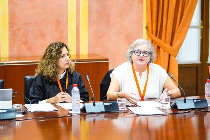 La secretaria de Políticas Sociales de UGT-A, Maribel Román, en la Comisión de Fomento.
