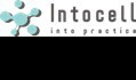 Comunicados Internacional