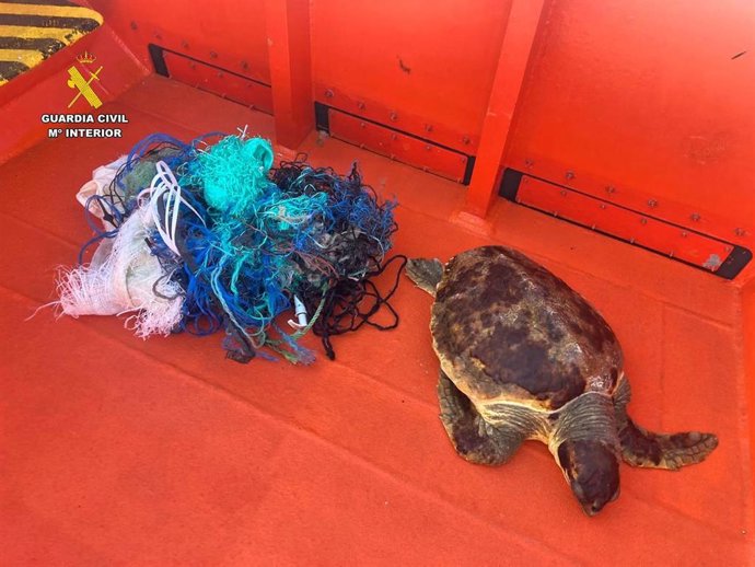 Vídeo de la noticia