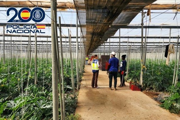 Agentes de la Policía Nacional durante la inspección realizada en la explotación agrícola del paraje El Algarrobillo, en Vícar (Almería).