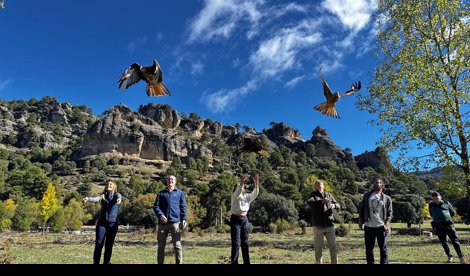 Es Andalucía - Jaén