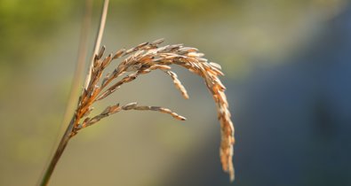 EpAgro - Agricultura