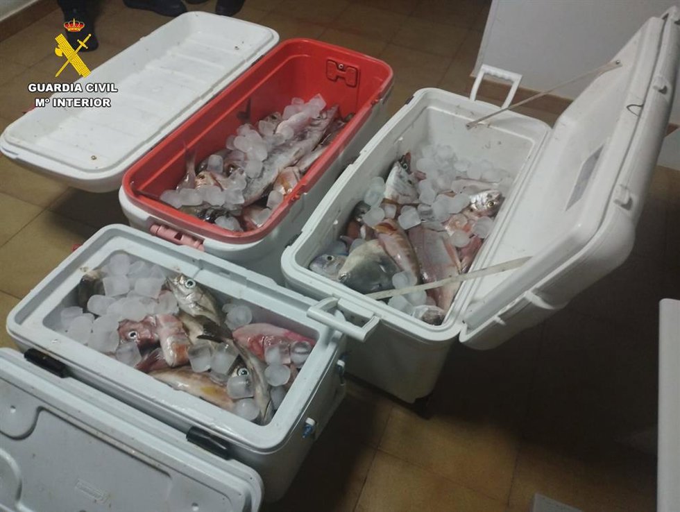 Pescado incautado por la Guardia Civil en Lanzarote
