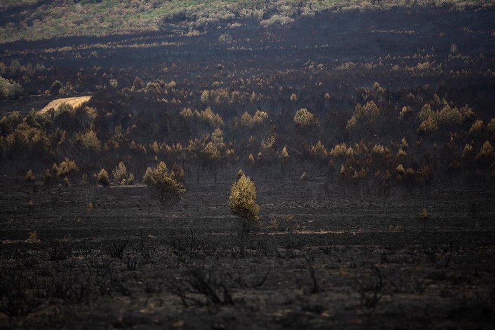 Archivo - Vista general de la zona de Cabañas de Aliste (Zamora) tras los incendios de  2022.