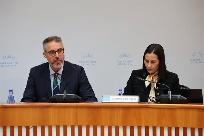 El presidente del Consello Consultivo, Andrés Lago Louro, en el Parlamento