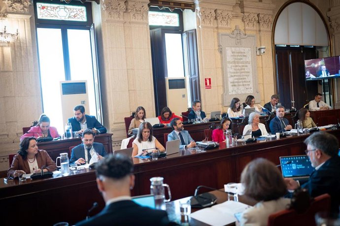 Detalle del Pleno del Ayuntamiento de Málaga