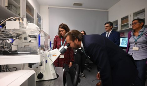 Es Andalucía - Granada