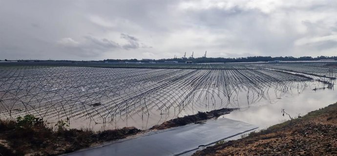 Uno de los campos afectados por las lluvias y el viento de este miércoles, entre Palos de la Frontera y Mazagón.