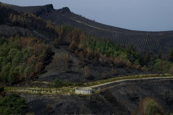 Archivo - Zonas afectadas por los incendios en la provincia de Ourense