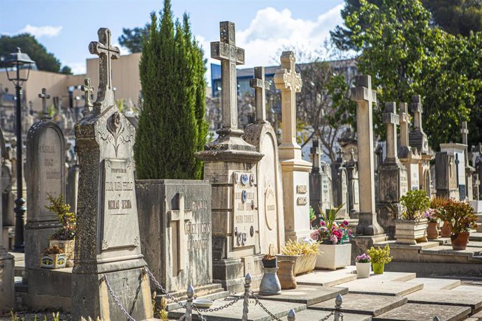 Archivo - Instantánea del cementerio de Son Tril·lo, en Palma.