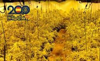 Detenida cinco personas y desmanteladas dos plantas de marihuana en tres operaciones en Huelva