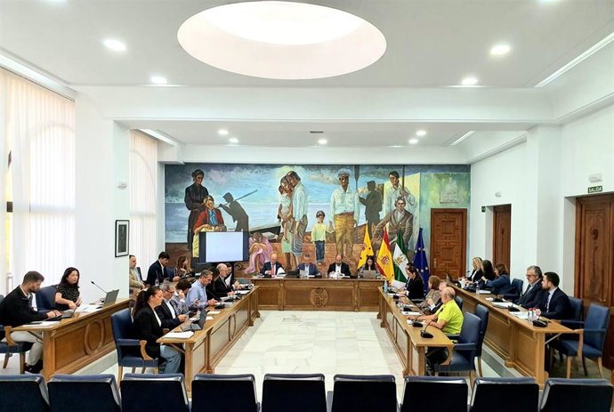 Pleno ordinario de Rincón de la Victoria