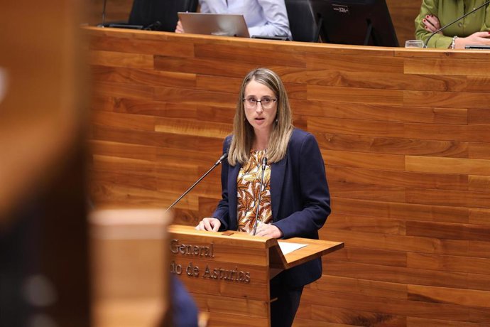 La diputada del PP de Asturias, Cristina Vega, en la Junta General.