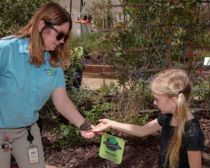 El Zoológico de Santa Ana cumple siete décadas como referente de conservación, educación y ocio familiar
