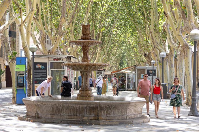 Archivo - Turistas paseando por las calles de Palma.