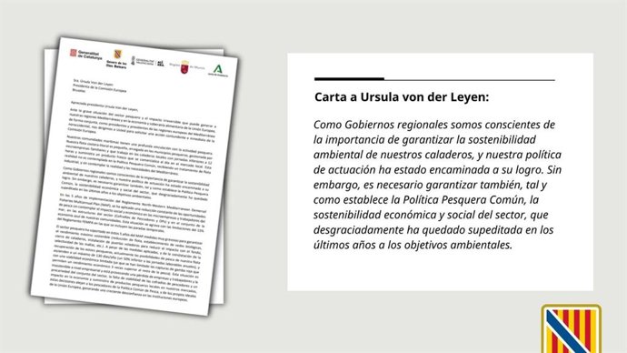 Carta enviada a la Comisión Europea