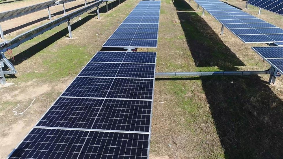 Archivo - [Cáceres] Ndp Planta Fotovoltaica Francisco Pizarro Ejemplo De Compatibilidad Entre Energías Renovables Y El Patrimonio Natural
