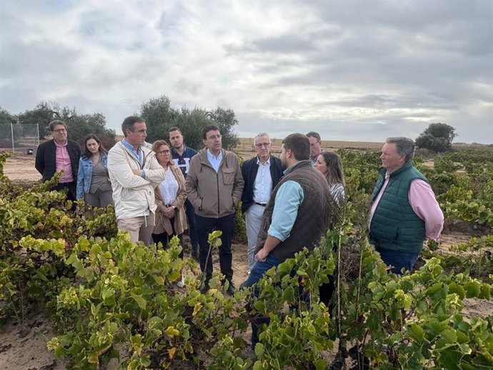El parlamentario andaluz Mario Jiménez, junto a alcaldes y representantes del PSOE en el Condado, en una visita a una cooperativa de Bollullos Par del Condado.