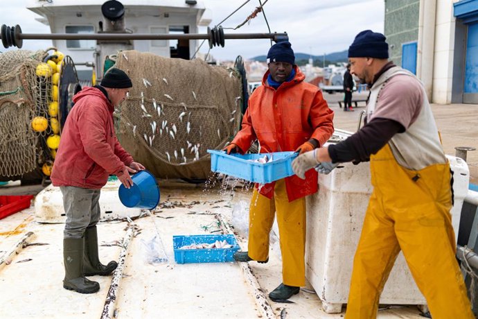 Archivo - Varias personas trabajan en el Puerto de Arenys, a 11 de diciembre de 2024, en Arenys de Mar, Barcelona, Catalunya (España). La Comisión Europea ha alcanzado un acuerdo sobre el reparto de las cuotas pesqueras en 2025 que incluye medidas para am