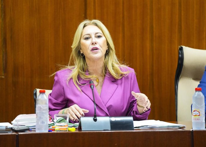 La consejera de Economía, Hacienda, Fondos Europeos y Diálogo Social, Carolina España, este viernes en comisión del Parlamento