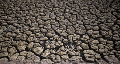 EpAgro - Agricultura