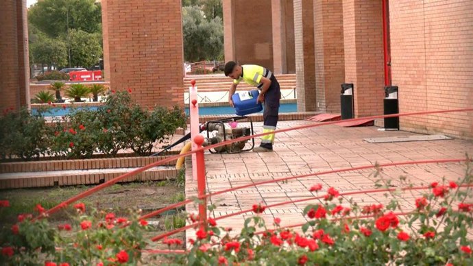 Interior del Palacio de Congresos y Exposiciones (FIbes) en Sevilla este viernes.