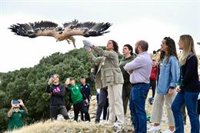 La Junta libera a Jimena, un nuevo ejemplar de águila imperial, en el Parque Natural de Sierra Mágina (Jaén)