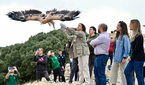 Es Andalucía - Jaén