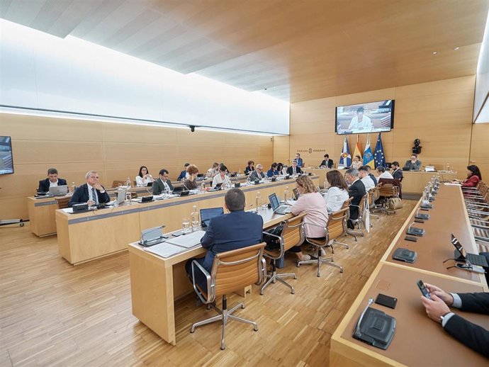 Pleno del Cabildo de Tenerife
