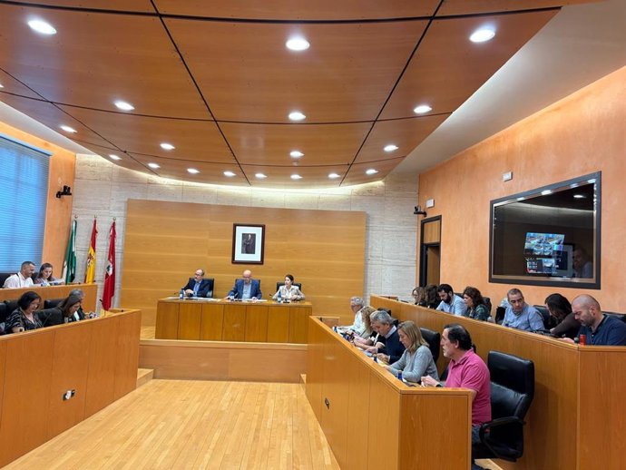Pleno municipal en Dos Hermanas (Sevilla).
