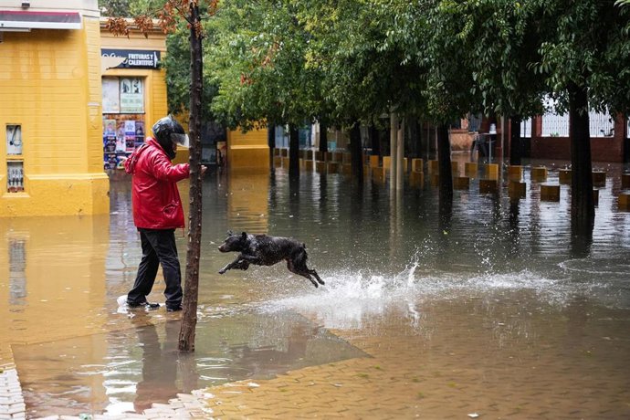Calles anegadas de agua tras las lluvias torrenciales que en la jornada de hoy, 29 de octubre, se ha vivido en la capital hispalense. A 29 de octubre de 2025, en Sevilla (Andalucía, España).
