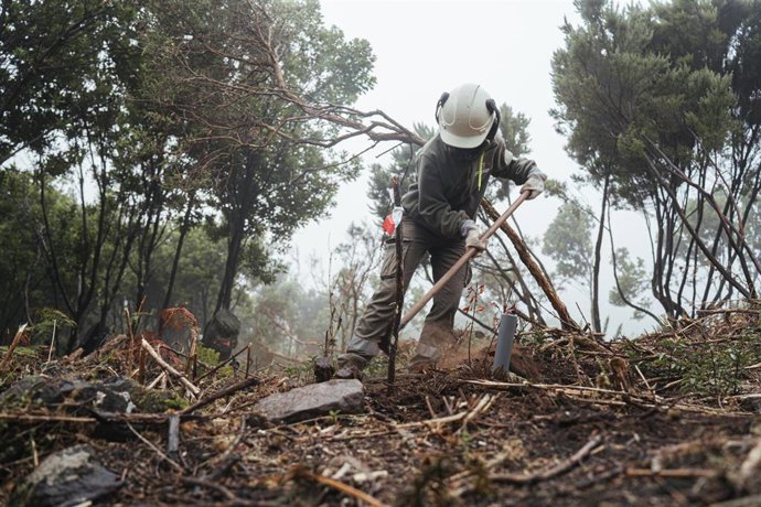 Archivo - Trabajador de Gesplan