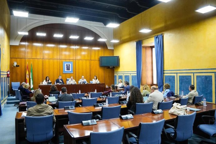 Comisión de Sanidad, Presidencia y Emergencias para abordar el proyecto de presupuestos para 2026. A 31 de octubre de 2025.