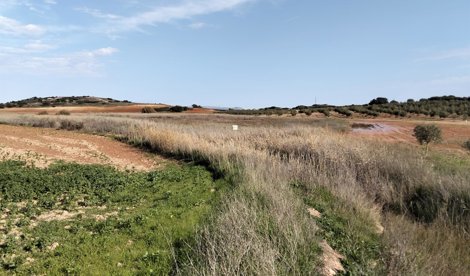 Es Andalucía - Málaga