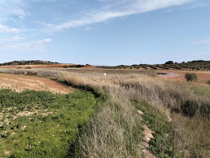 La Junta compra los terrenos de la Laguna de Camuñas en Campillos (Málaga)  para su restauración ambiental.