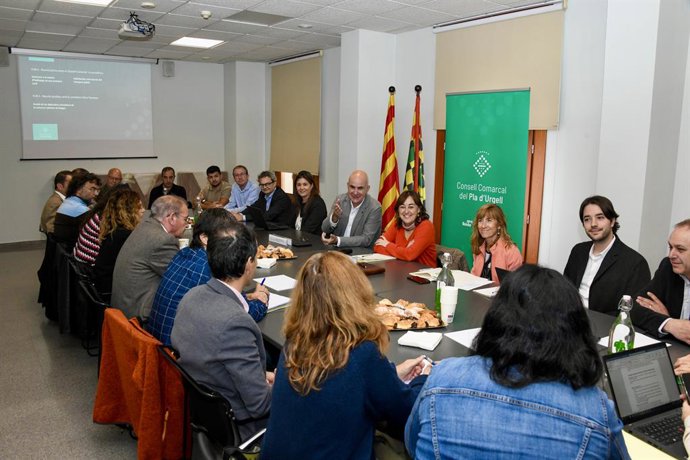 La consellera de Territori, Habitatge i Transició Ecològica, Sílvia Paneque reunida amb el Consell Comarcal del Pla d'Urgell (Lleida)