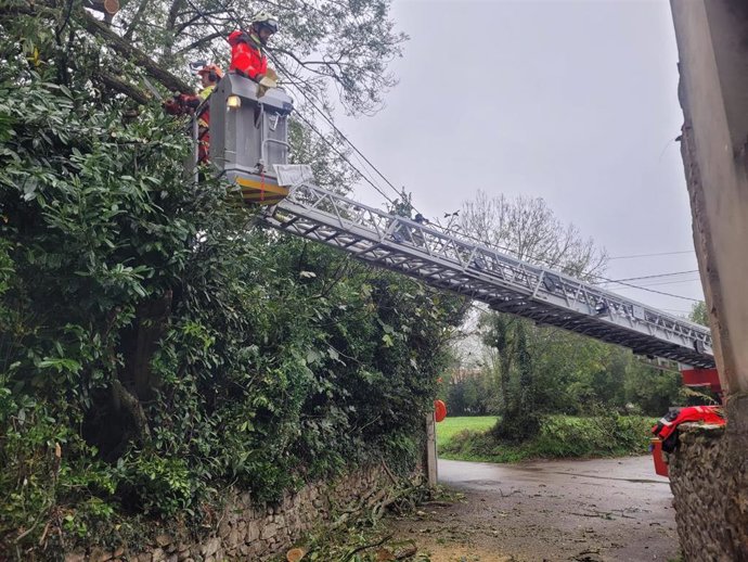 Bomberos retiran un árbol que bloqueaba el vial de acceso al cementerio de La Abadilla de Cayón