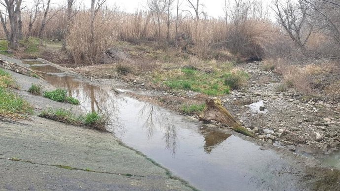 Ecologistas en Acción denuncia el estado ecológico en el que se encuentra el río Alhama en La Rioja y en Navarra