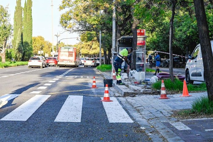 Inician los trabajos para mejorar la velocidad comercial de la EMT en la avenida Blasco Ibáñez