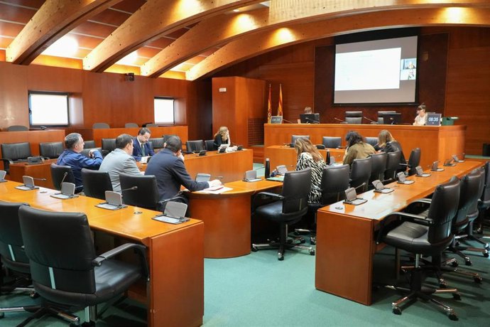 Comisión especial de estudio para reforzar la protección de la infancia y la adolescencia frente al impacto del uso de la tecnología en la Comunidad autónoma de Aragón.