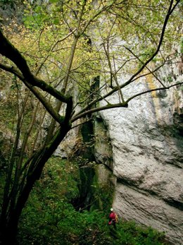 La cueva de Los Cuervos en Galdames.