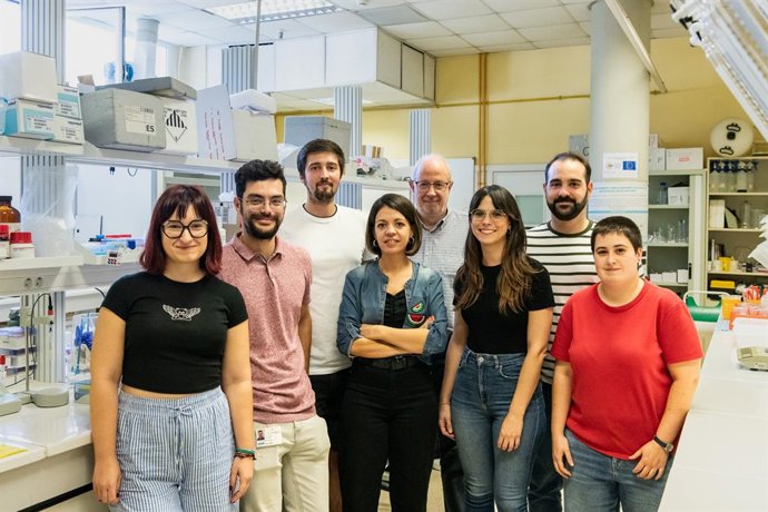 Archivo - Equipo de investigación.