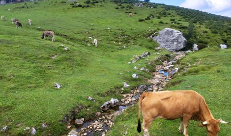 Asturias Rural