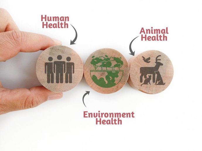 Archivo - Arquivo - A abordagem "One Health" coloca em primeiro plano a interdependência da saúde humana, animal e ambiental.