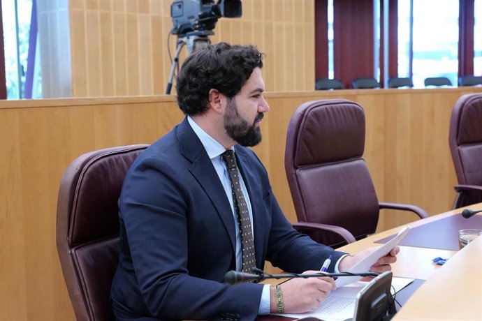 El diputado provincial de Vox en Granada, Gustavo de Castro