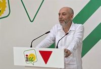 Alba (IU-A) tacha de "surrealista" la dimisión de Mazón "sin ser capaz de dejar el acta"