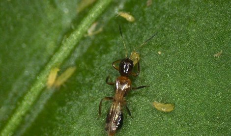 Es  Andalucía - Almería