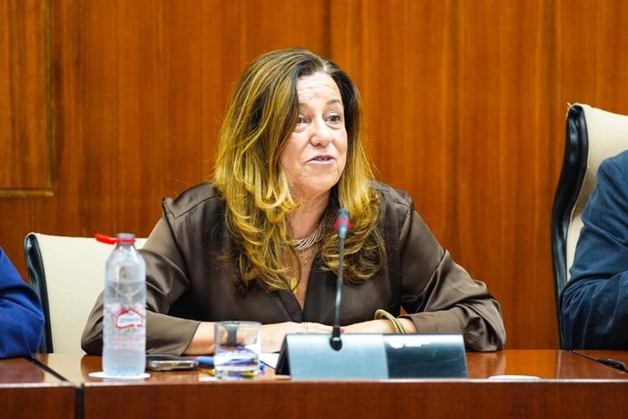 La consejera de Desarrollo Educativo y Formación Profesional, María del Carmen Castillo, en la comisión de presupuestos a 3 de noviembre de 2025.