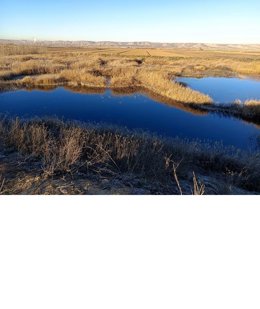 Archivo - Humedal de Soto-Gutiérrez en Ciempozuelos, conocido como la 'pequeña Donaña madrileña'